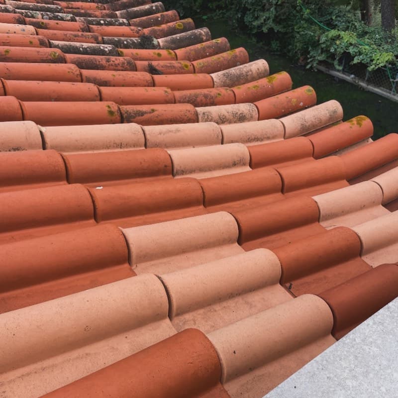 Telhas cerâmicas com musgo e líquenes antes de limpeza