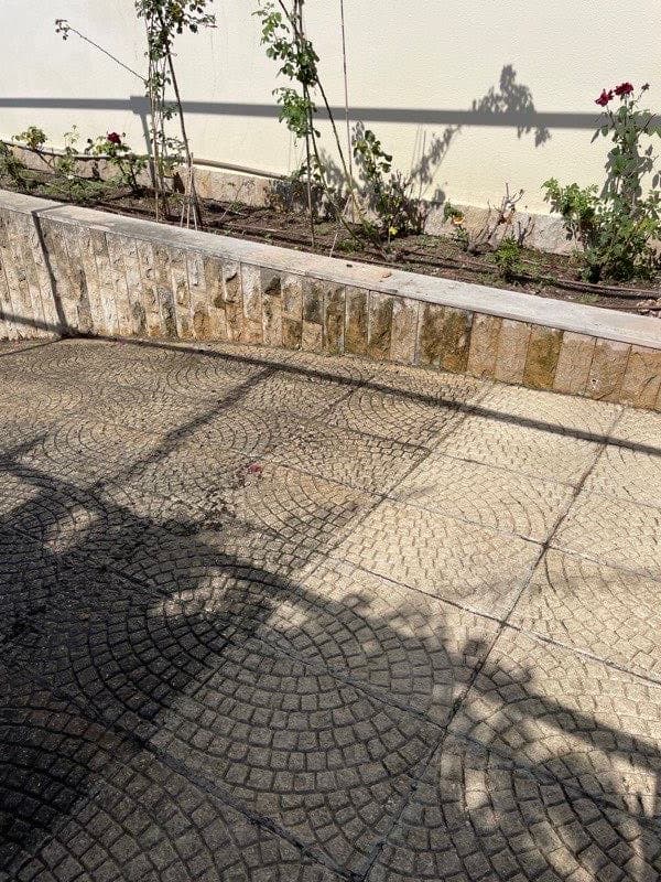 Calçada portuguesa com detritos e musgo acumulados
