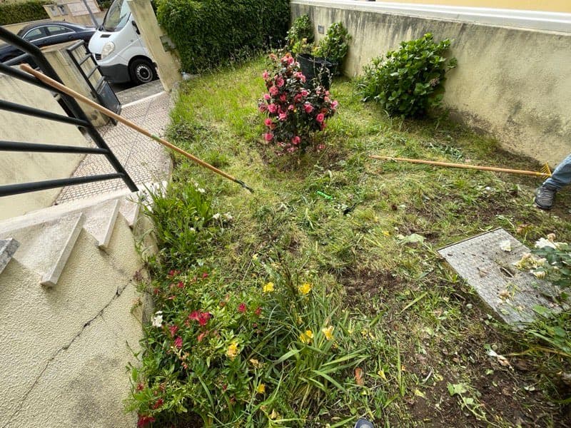 Jardim reabilitado com canteiro e rosas