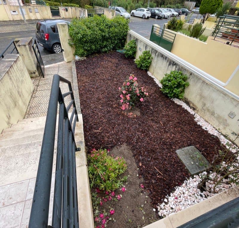 Jardim em tratamento e limpeza
