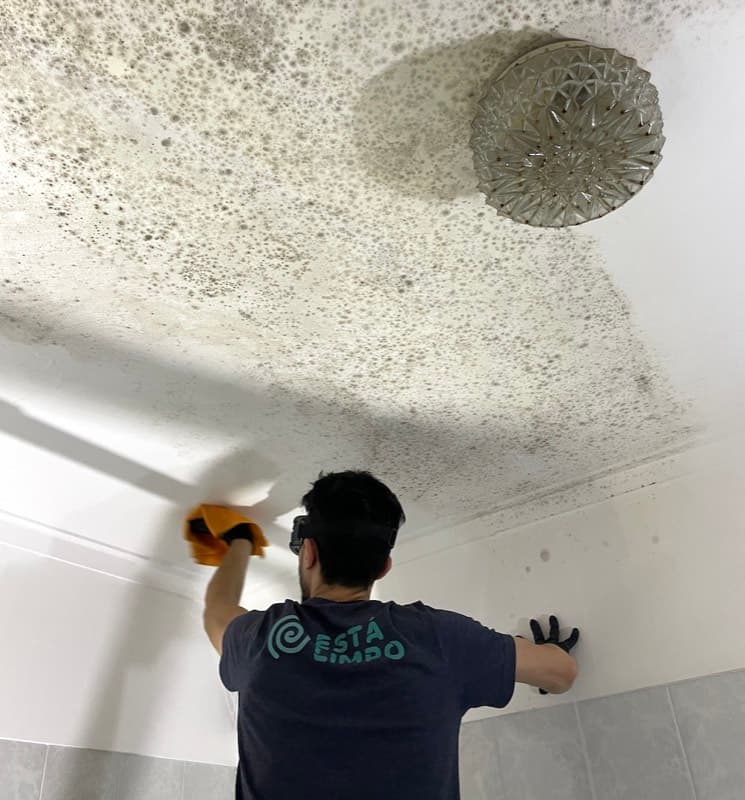Técnico da Está Limpo a limpar bolor no teto